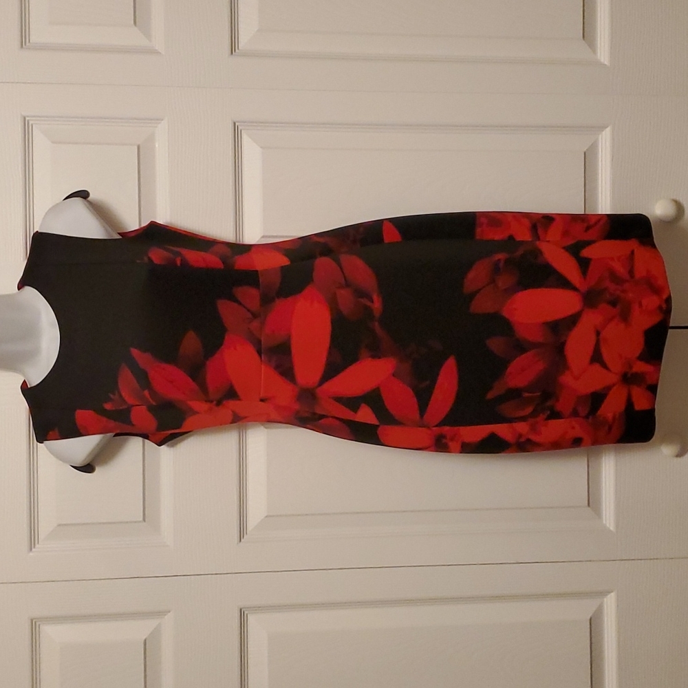 Calvin Klein Dress